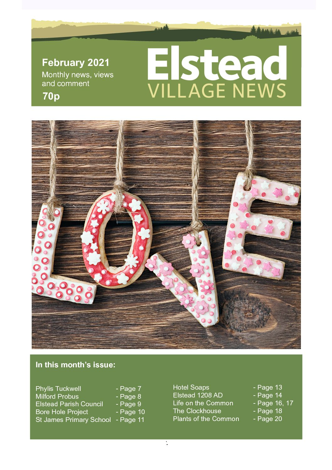 You are currently viewing Elstead Village News – February edition now available