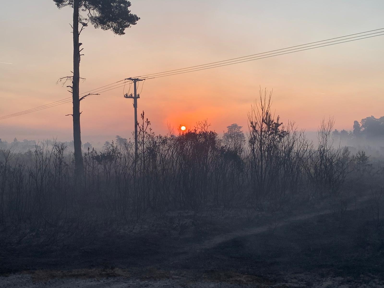 You are currently viewing Thursley Common – Fire update