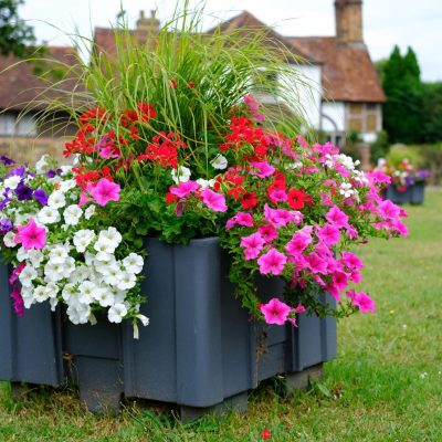 Planters on green